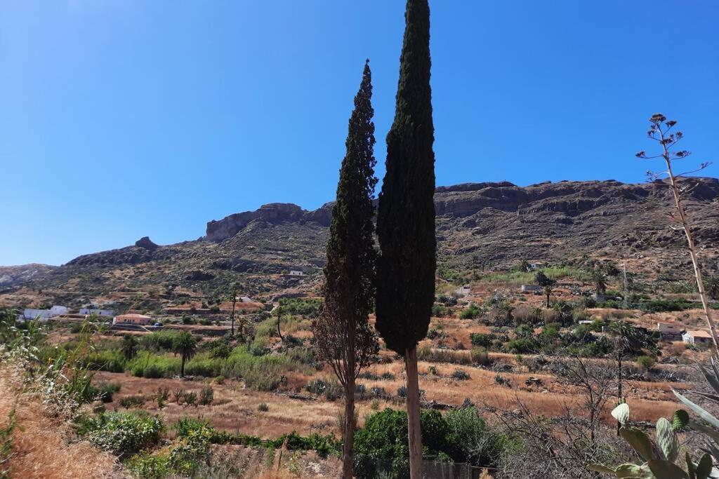 Casa Rural Los Cipreses. Cercados De Arana San Bartolomé 外观 照片