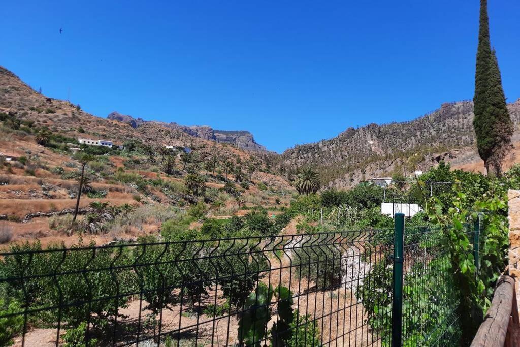 Casa Rural Los Cipreses. Cercados De Arana San Bartolomé 外观 照片